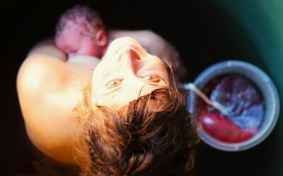 Wie du Körper, Geist und Seele darauf ausrichtest, dass Sex, Empfängnis und Geburt so passieren, wie du es dir wünschst.